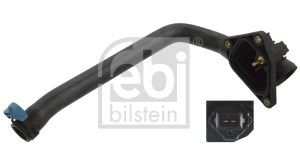 Radiator Hose